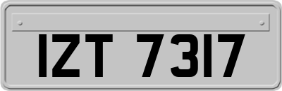 IZT7317