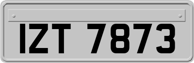 IZT7873