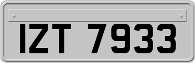 IZT7933
