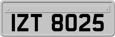 IZT8025