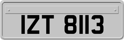 IZT8113
