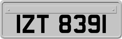 IZT8391
