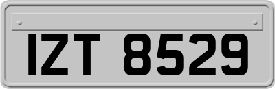 IZT8529