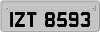 IZT8593