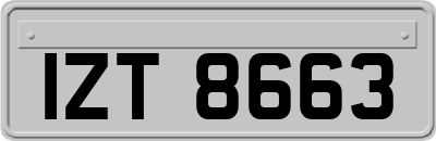 IZT8663