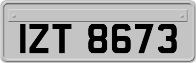IZT8673