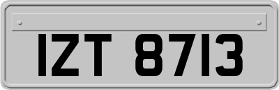 IZT8713