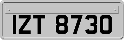 IZT8730