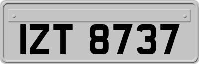 IZT8737