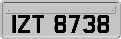 IZT8738