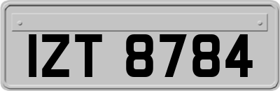 IZT8784