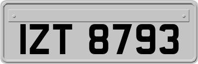 IZT8793