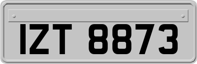 IZT8873