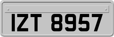 IZT8957