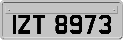 IZT8973