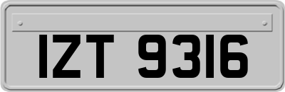 IZT9316