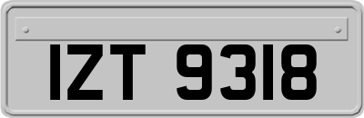 IZT9318