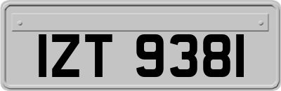 IZT9381