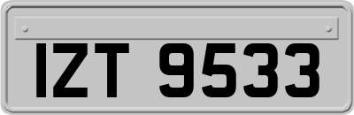 IZT9533