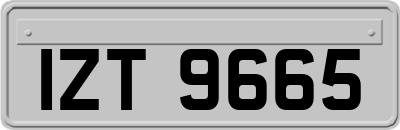 IZT9665