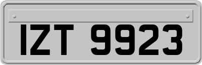 IZT9923