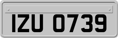 IZU0739