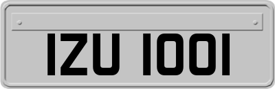 IZU1001