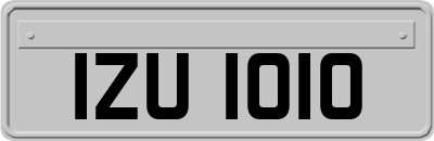 IZU1010