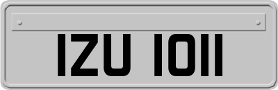 IZU1011