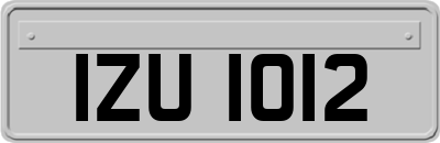 IZU1012