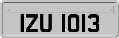 IZU1013