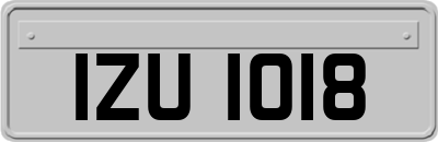IZU1018