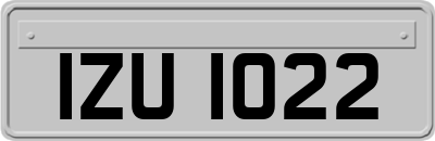 IZU1022
