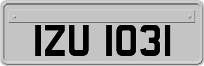 IZU1031