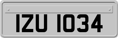 IZU1034