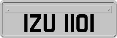 IZU1101