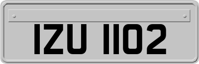 IZU1102
