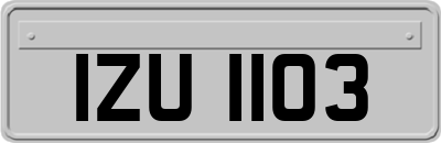 IZU1103