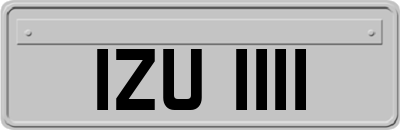IZU1111