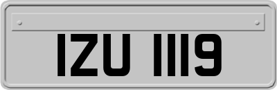 IZU1119