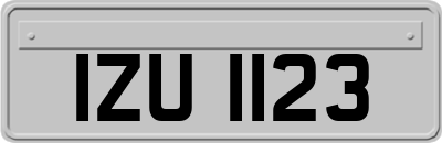 IZU1123