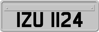 IZU1124