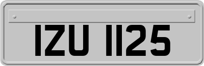 IZU1125