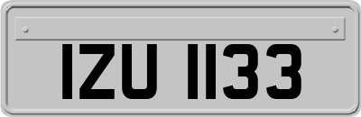 IZU1133