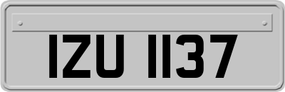IZU1137