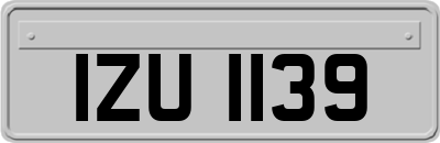 IZU1139