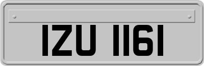 IZU1161
