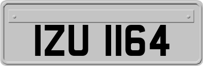 IZU1164