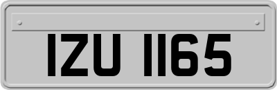 IZU1165