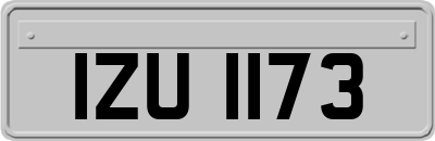 IZU1173